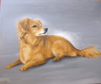 /album/fotogaleria/pes-4-7-2014-jpg/